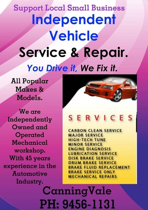 Independent Vehicle Servcing and Repair Pic 1