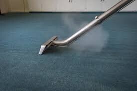 Carpet Cleaning Highfields Pic 1