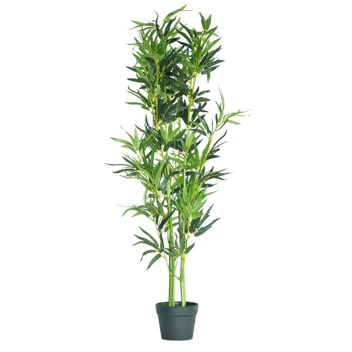 Illusion Homewares Pty Ltd Pic 1 - 100cm Bamboo plant