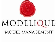 Modelique Model Management Pic 1