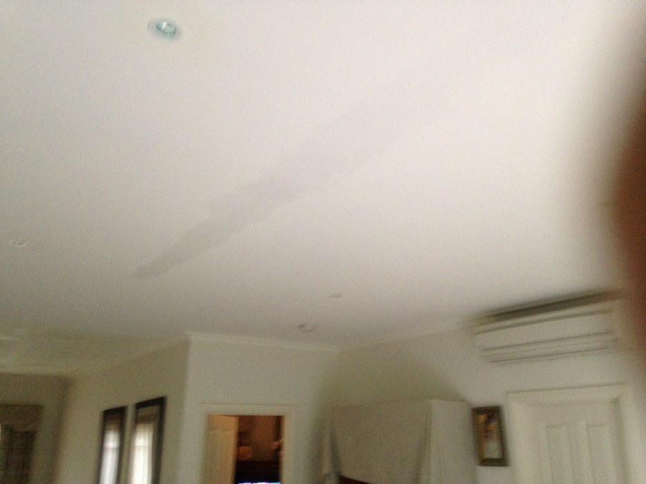 Persinnon Tree Pic 1 - Repair water damaged ceiling in Croydon Hills