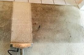 Carpet Cleaning Gordon Pic 2