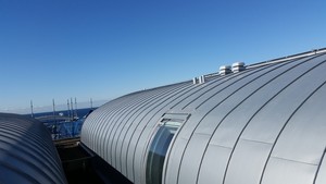 Traditional Metal Roofing Pic 5 - Curved zinc roof