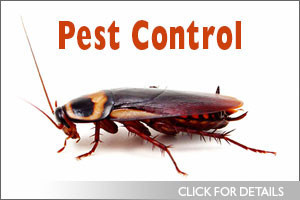 Arundel Pest Control Pic 1