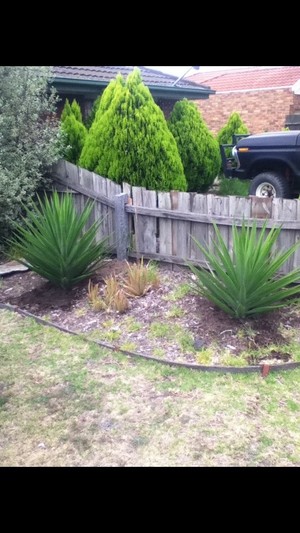 Down to earth landscaping & mowing Pic 2