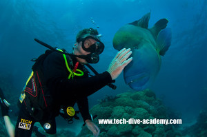 Tech Dive Academy Pic 5