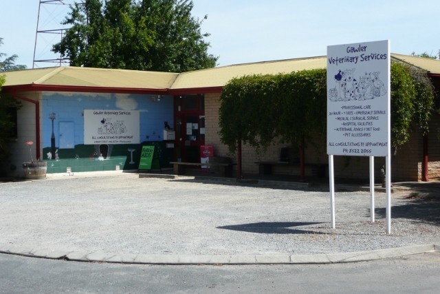 Gawler Veterinary Services Pic 1