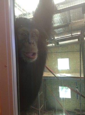 Monarto Zoo Pic 3 - Mirror