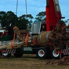 Arbor Co Tree Services Pic 4 - Tree removal