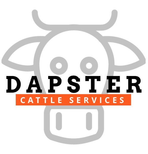 Dapster Cattle Services Pic 1