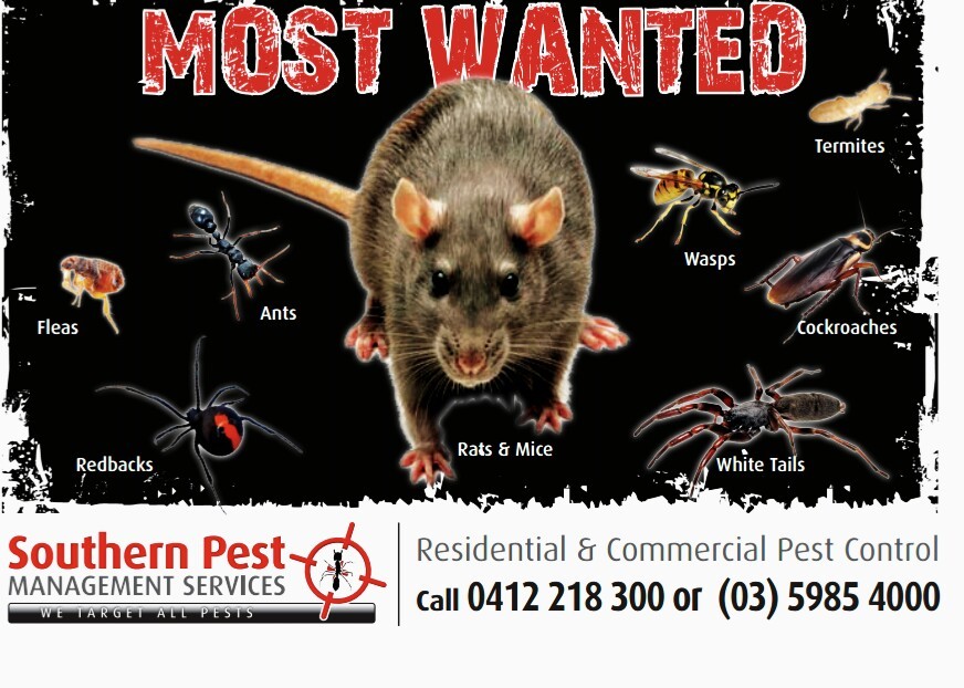 Southern Pest Management Services Pic 1