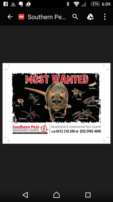 Southern Pest Management Services Pic 2