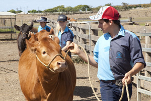 Bundaberg Christian College Pic 4