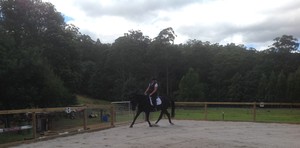 Havenwood Equestrian Pic 3