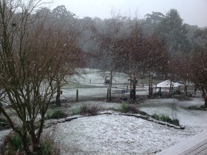 Havenwood Equestrian Pic 5 - Winter snow