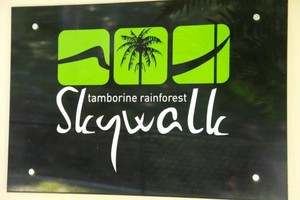 Tamborine Rainforest Skywalk Pic 2