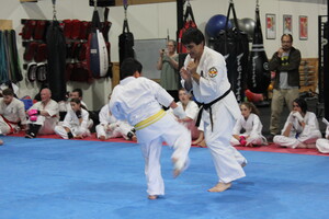 Eltham martial Arts Academy Pic 5