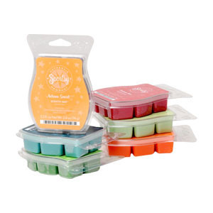 Pretty Scents With Christie Pic 4 - Scentsy Bars Pop one or two blocks into your warmer and wait for your home to fill with wonderful fragrance Each Bar has 8 blocks and will last approx 80 hours