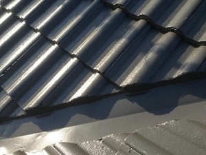 Eternal Roofs Australia Pic 4 - Valley beautifully pointed