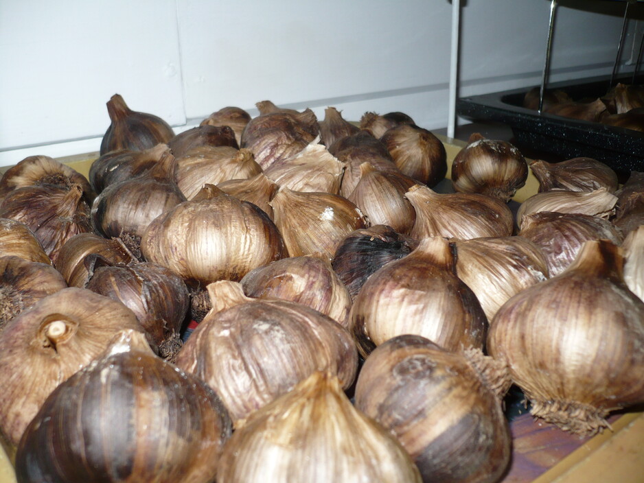 The Garlic Clinic Pic 1 - Our of this world Black Garlic delight