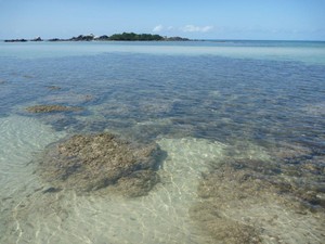 Off Road Adventure Safaris Pic 5 - Chilli Beach wwwtourcapeyorkcomau