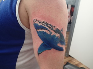 Ink Transition Tattoo Studio Pic 4 - Shark