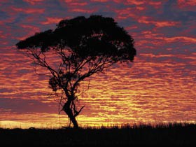 Kimba Caravan Park & Motel Pic 1 - Eyre Peninsula South Australia