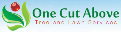 One Cut Above Pic 1 - Your local tree and lawn service provider