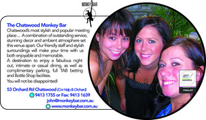 The Chatswood Monkey Bar Pic 2 - Monkey Bar