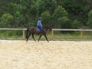 Jocida Park Horse Agistment Pic 5 - Fenced sand arena