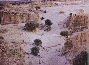 Mungo Lodge Pic 4 - Visit the sand dunes The Great Walls of China