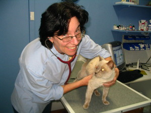 Bondi Junction Veterinary Hospital Pic 3 - Dr Julia Crawford