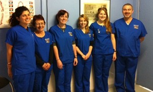 Bondi Junction Veterinary Hospital Pic 2 - Our Vet Nurse Team