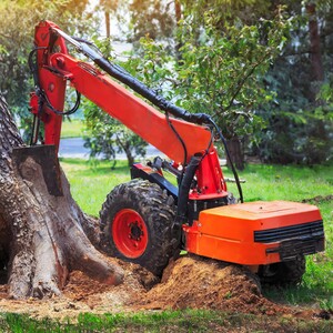 Rv Tree Care Pic 3 - Tree Removal