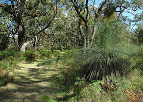 Between The Bays Retreat Pic 1 - Grasstree Reserve