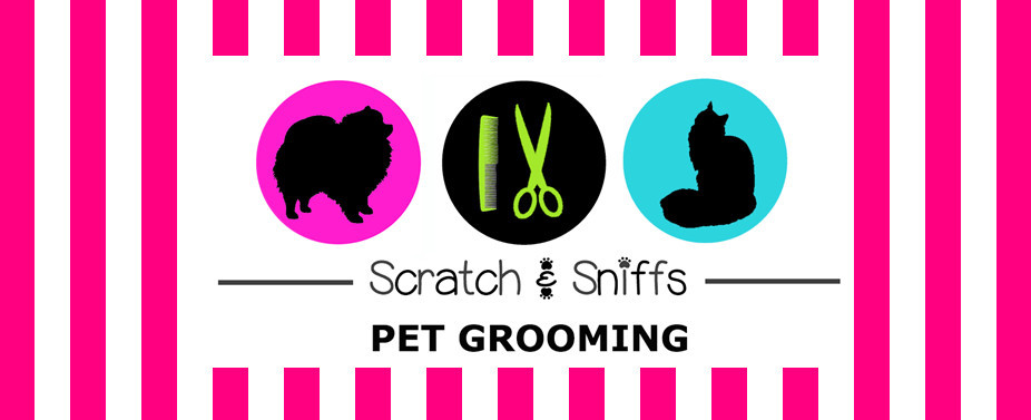 Scratch and Sniffs Pet Grooming Pic 1