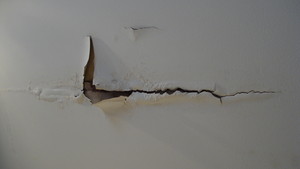 Asset Remedial Pty Ltd Pic 5 - Water damaged plasterboard