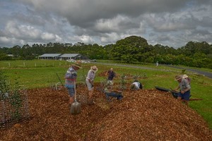 Maleny Settlers Green Pic 4