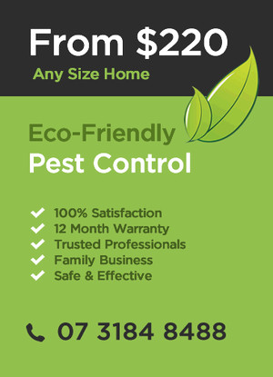 Eco Pest Control Brisbane Pic 2