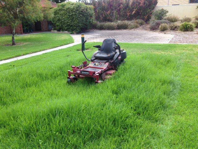 After A Mow? Pic 1