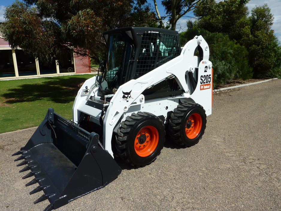 Bridge Bobcat Pic 1