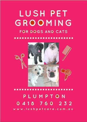 Lush Pet Care Pic 3 - Lush Pet Care new grooming flyer 2017