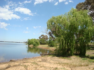 Loddon House Holiday Park Pic 4 - Excellent Fishing