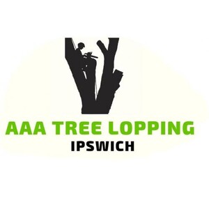 Aaa - Tree Lopping Ipswich Pic 4