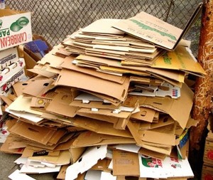 Enviro Paper Cardboard Recycling Pic 5 - Loose Cardboard Recycling Disposal Service