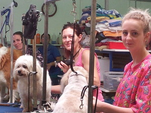 W.A. Dog Grooming & Clipping Academy Pic 2 - Some of our friendly staff at wa dog grooming