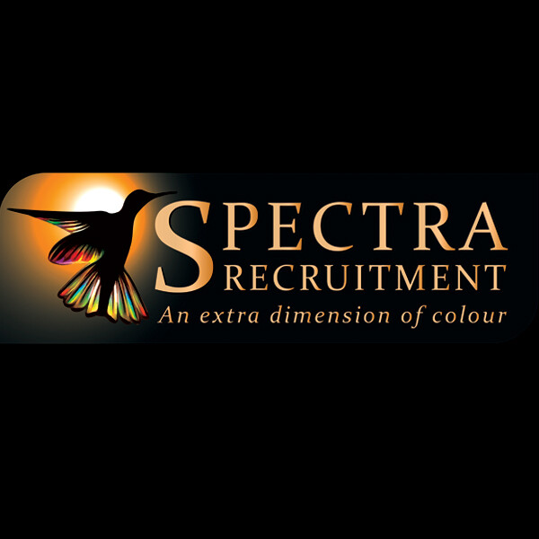 Fyrefly Design Pic 1 - Spectra Recruitment Logo and Branding