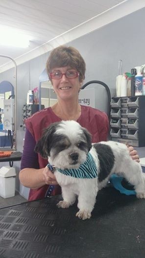 Splash Dog Grooming Pic 4