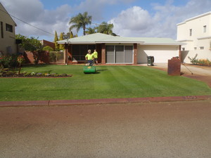 BLUEGRASS LAWNMOWING Pic 2