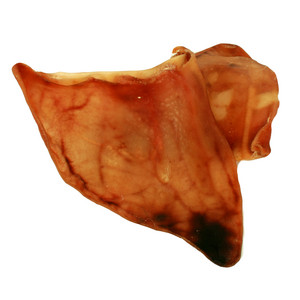 Canine Candy Pic 2 - Our large pigs ears are 100 Australian100 natural with no artificial colours flavours or preservatives Suitable for Medium to large size dogs